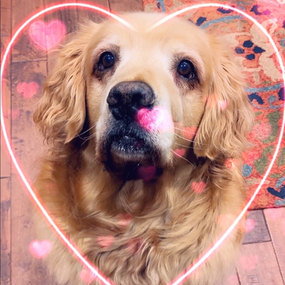 Meet your Posher, Casey - Picture 1 of 1